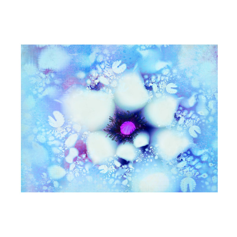 Art sur toile Tina Lavoie Clarissa, H 14 po x l 19 po