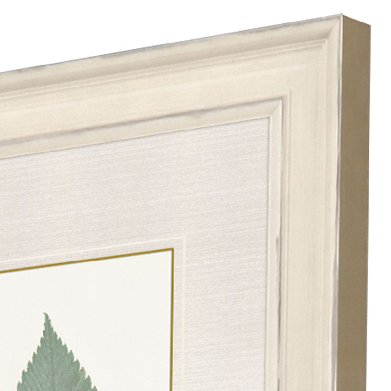Leaf Adorned I Set by Giclee Studio