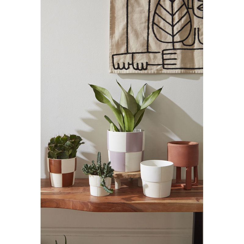 Pot à fleurs en céramique Caitlin, H 5 po x l 5 po x P 5 po