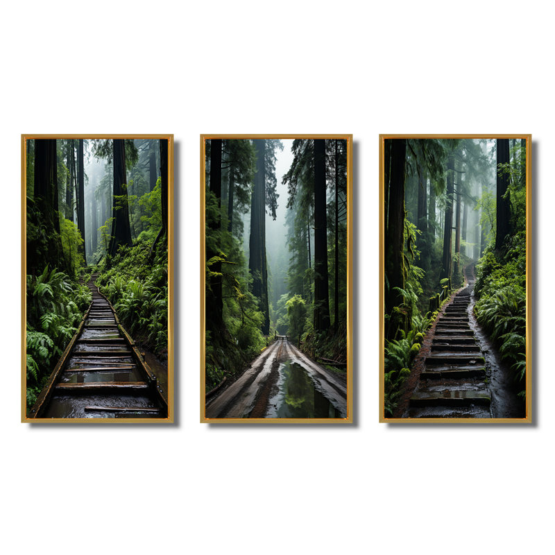 États-Unis - Monument national de Muir Woods - Ensemble de 3 pièces, Encadrement doré, H 28 po x l 36 po