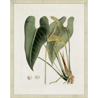 Feuille verte 1