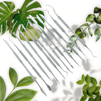 12-Piece Stainless Steel Wax Carvers Set