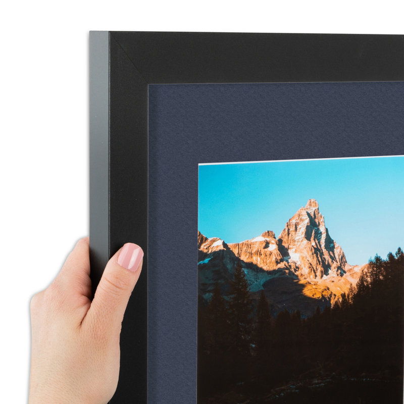 Wood Matte Picture Frame with Mat, Blue Jay