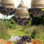 Leonora Rattan Garden Chandelier-1984269566