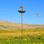 Elegant Dimondale Garden Stake – Decorative Weathervane for Gardens, Flower Beds, Lawns, and Home Décor