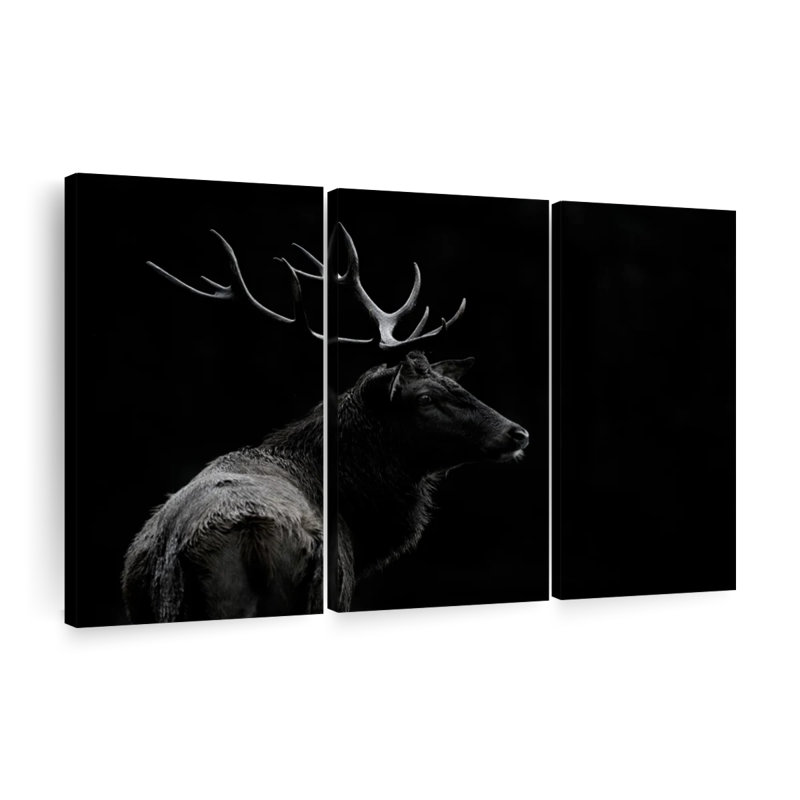 Ensemble de 3 pièces d'éléphant sur toile monochrome, H 48 po x l 74 po x P 1,25 po