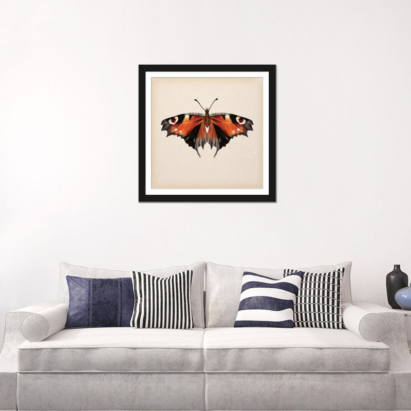 «Butterfly Study V», impression sur toile, Papier beaux-arts encadré noir, Blanc, H 16 po x l 16 po x P 1 po