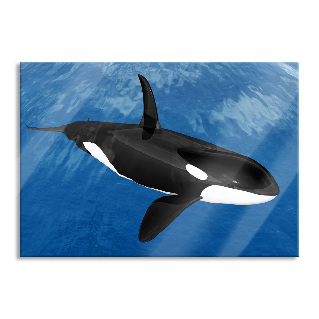 Glasbild _ Wandbild Auf Echtglas _ Schöner Orca Im Meer _ Inkl. Aufhängung Und Abstandshalter_LFs7610