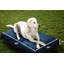 Lit pour chien d'intérieur et d'extérieur Sunbrella-607045730-606807579