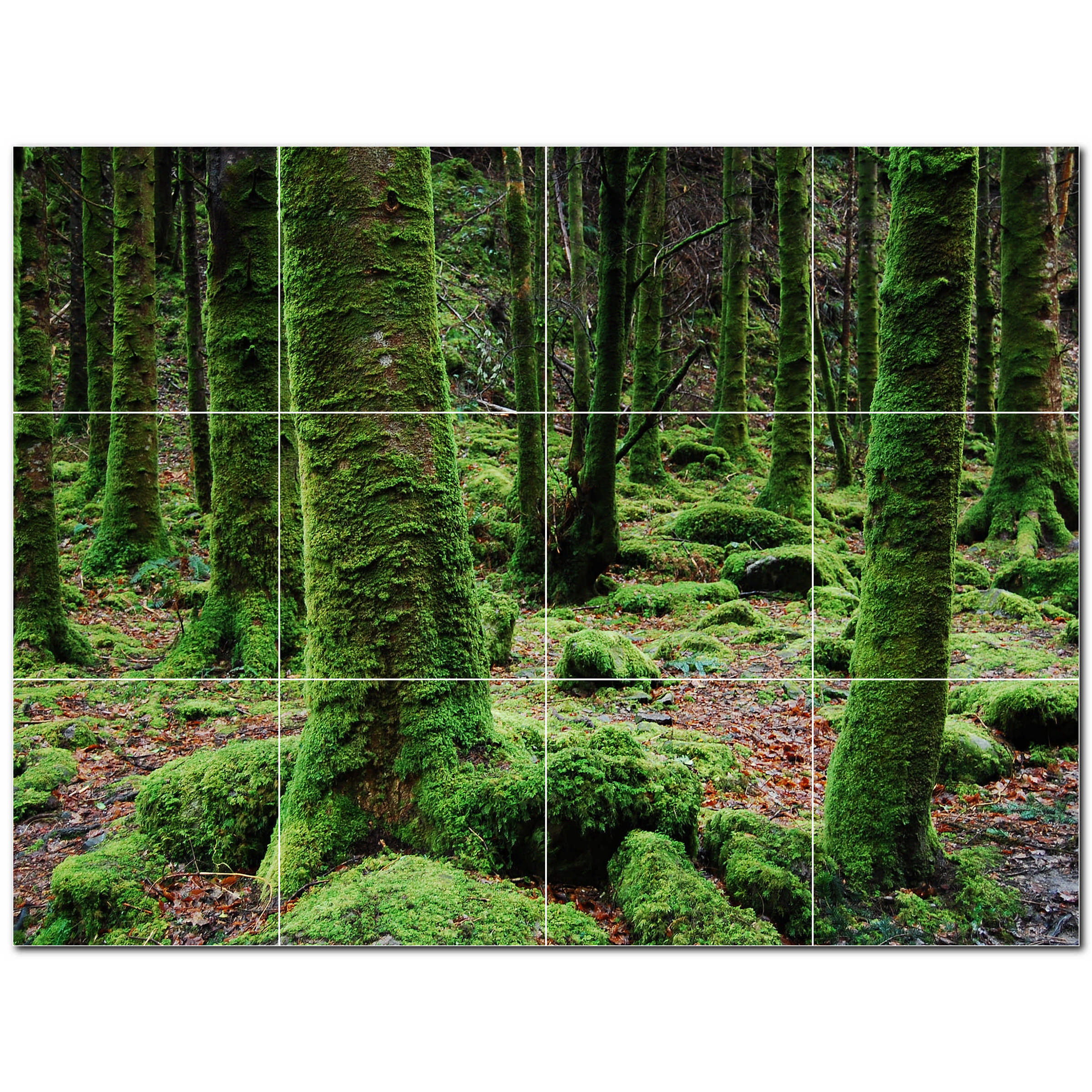 Picture Tiles 24 X 18 Ceramic Trees Photo Decorative Mural Tile picture-tiles-24-x-18-ceramic-trees-photo-decorative-mural-tile