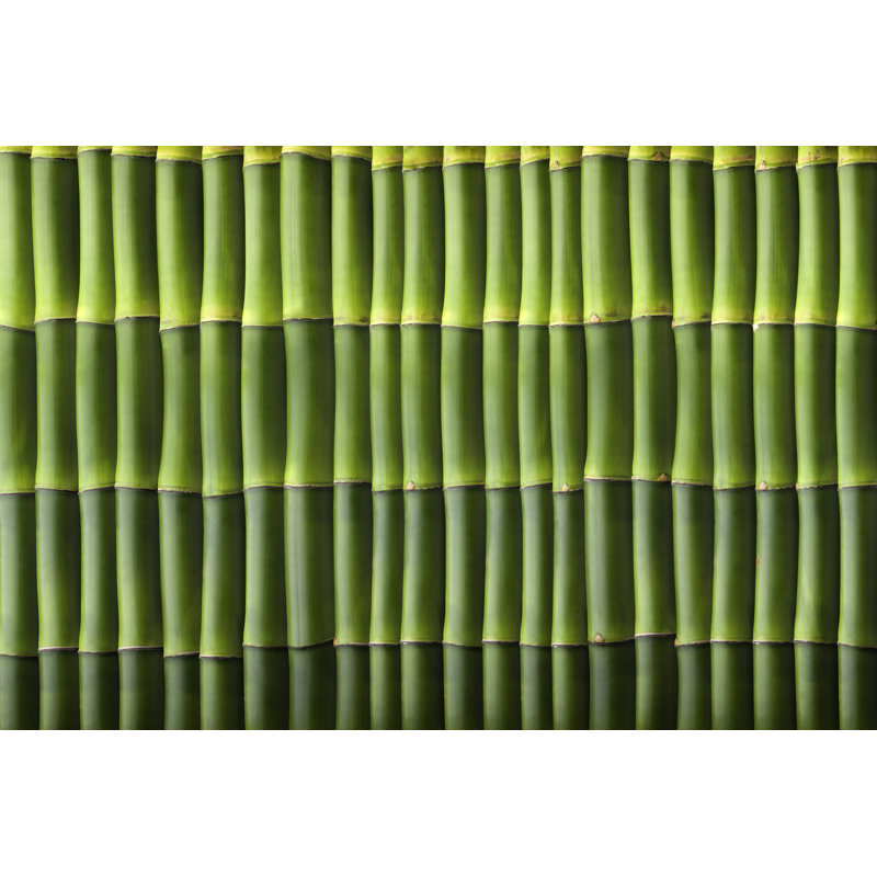 Natural Bamboo Seamless Wall Pattern - No Frame Print on Canvas, 20cm H x 30cm W
