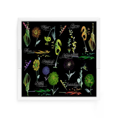Plateau décoratif carré en acrylique Botanicals Xray