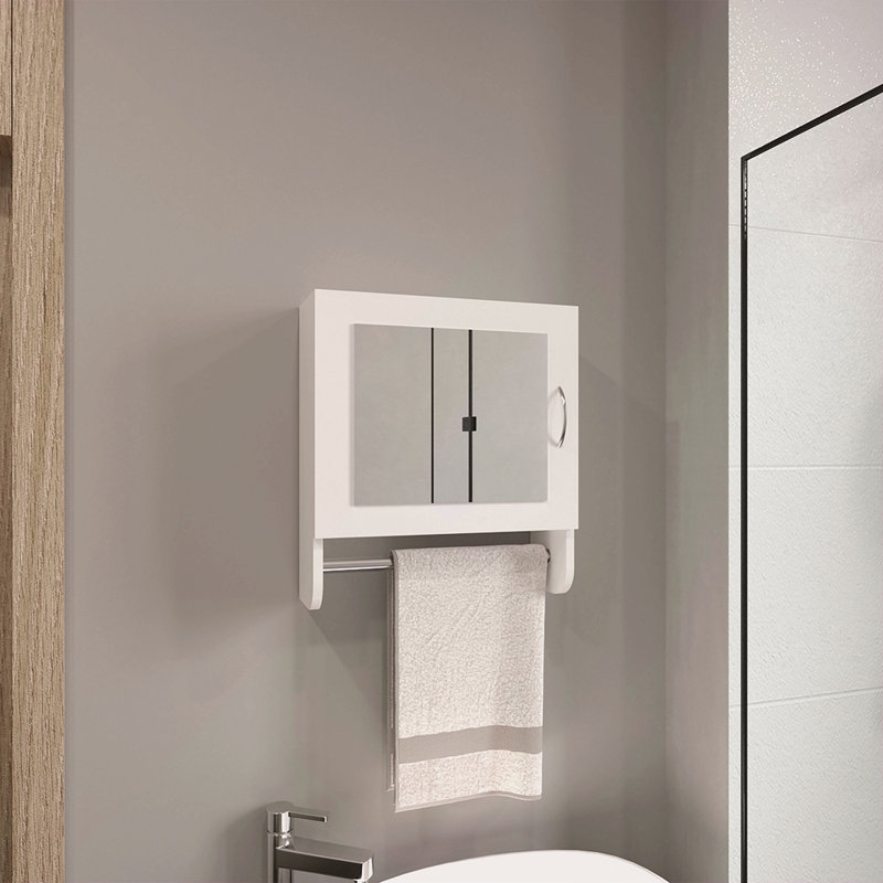 Armoire à pharmacie à miroir H 19,7 po x l 17,7 po avec porte-serviettes, une porte avec deux tablettes intérieures pour la salle de bain et la cuisine