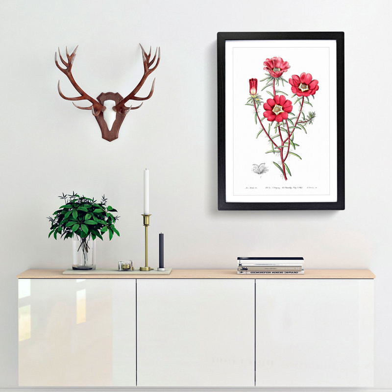 Pink Rose Moss Flowers - Framed Print, 48cm H x 36cm W x 2cm D, Black Framed