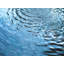 Fountain Print by Petra Trimmel-71200737-132862342