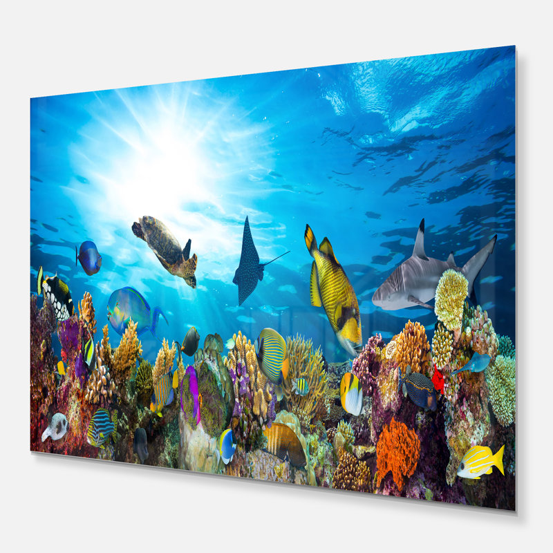 " Colourful Coral Reef With Fishes ", 12" H x 20" W x 2" D