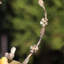 Metal Hanging Decorative Bird Feeder