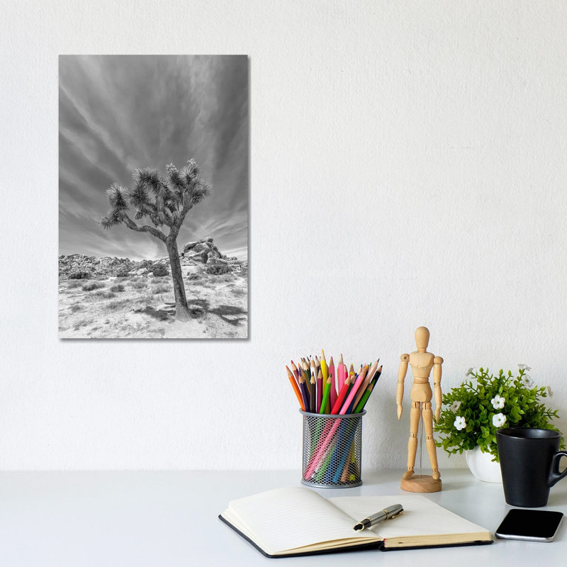 Lonely Joshua Tree Monochrome by Melanie Viola - Wrapped Canvas Print, 20.32 cm H x 30.48 cm W