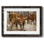 Longhorns-162033396-162033358