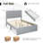 Lametrice Upholstered Platform Storage Bed-174101908