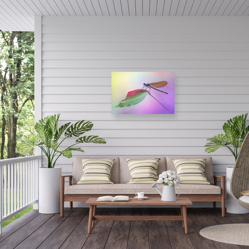 Fabrizio Daminelli  Calopteryx Splendens Outdoor  Canvas, H 12 po x l 19 po