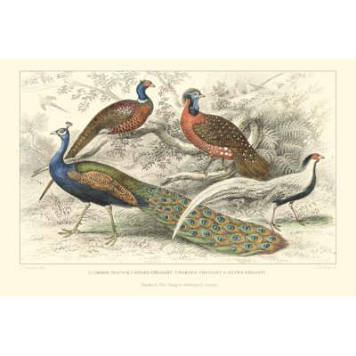 Peacock & Pheasants 1 Piece Wrapped Canvas Painting