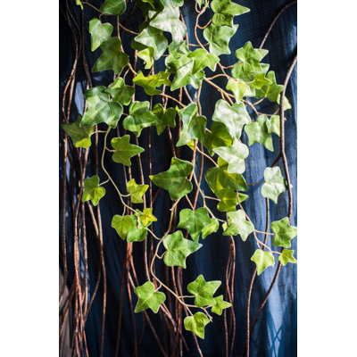 Branche de ivy à douille suspendue