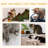 Earnest 116.84cm H Cat Tree
