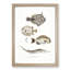 Selection of Fish by John Edward Gray - Picture Frame Painting Print-55614135-55614138