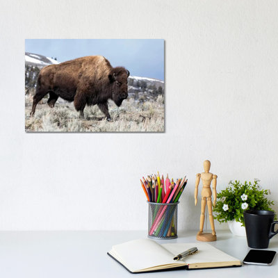 États-Unis, Wyoming, parc national de Yellowstone. Bison marchant à travers la sauge et le terrain rocheux. par Ellen Goff - Photographie sur toile tendue