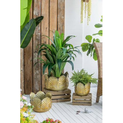 Set of 3 Metal Planter Distressed, L:17.7x17.7x11" M:15x15x10.2" S:11.5x11.5x10"