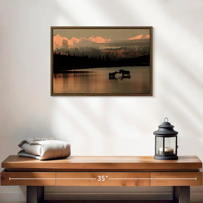 Courting Moose In Wonder Lake, 25 po x 17 po, Cadre flottant noyer