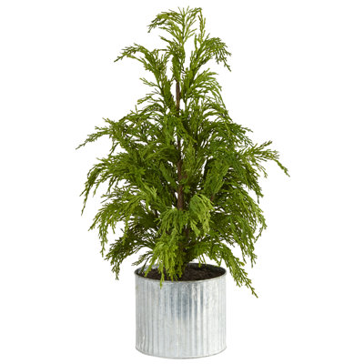 Easy Set-Up 20' Christmas Tree