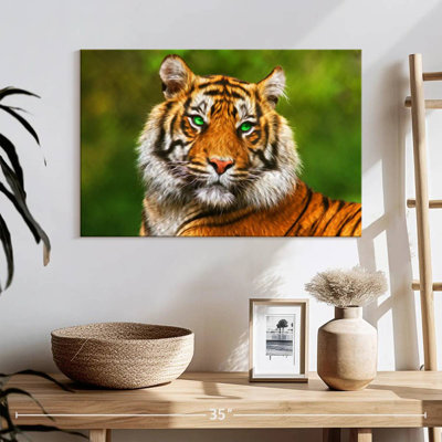 Tigre aux yeux verts Brampt