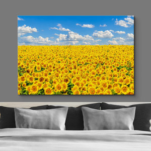Sunflower " Vibrant Yellow Summer Sunflowers " on