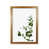 Honey Oak Frame is unavailable