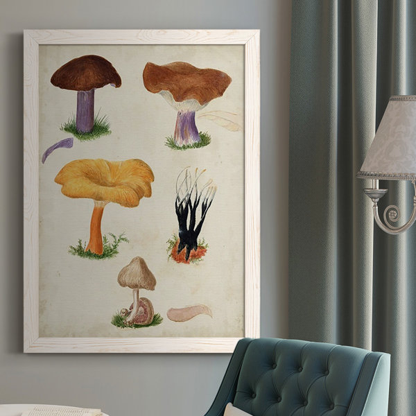 WexfordHome Mushroom Species VII Framed On Canvas Print | Wayfair