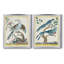 «Pastel Birds V», ensemble de 2 reproductions sur toiles encadrées