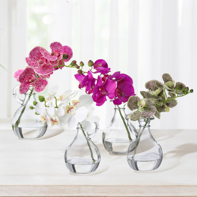 Orchids Arrangement in Jar