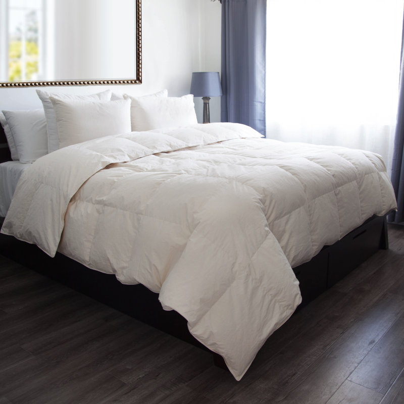 White Off White All Season Down Alternative Cotton Comforter, Queen Comforter
