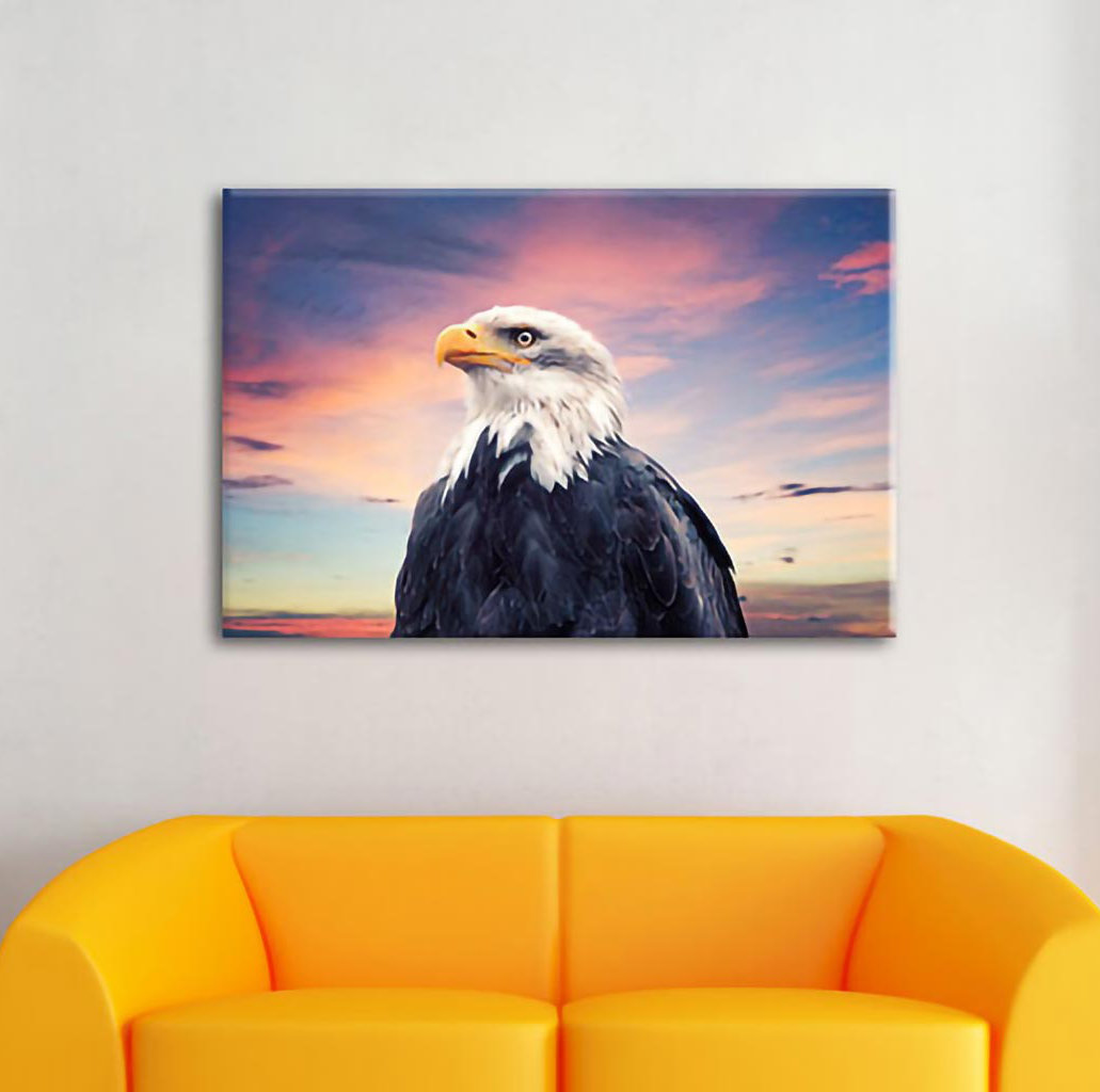 Leinwandbild Weißkopfseeadler im Sonnenuntergang