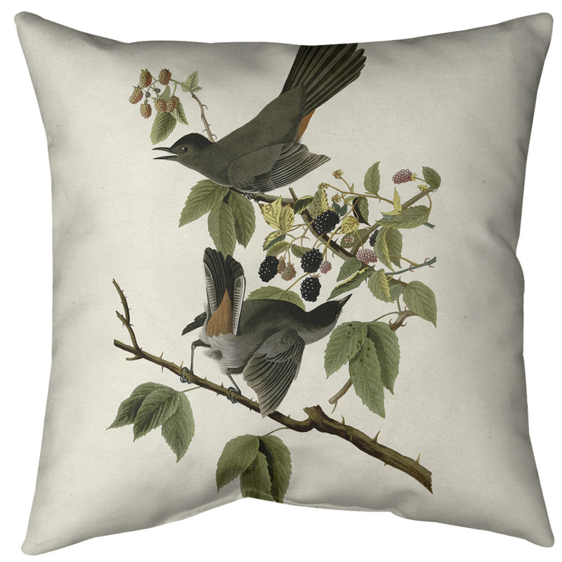 Coussin décoratif à motif d'oiseau de chat avec insert - Collection John James Audubon, double face et lavable, 18 po x 18 po