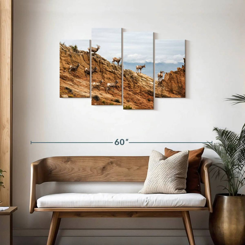 Brampt Colorado Bighorn Sheep, 27" H x 43" W