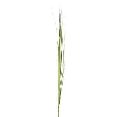 Faux Birch Grass Plant