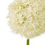 Arrangement-111171287-111171283