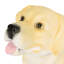 Banc pour chien en teinte brune - aucun assemblage, rehausse le charme de patio