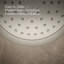 Memoirs® Stately Rite-Temp Shower Valve Trim with Deco Lever Handle and 2.5 Gpm Showerhead-37343395
