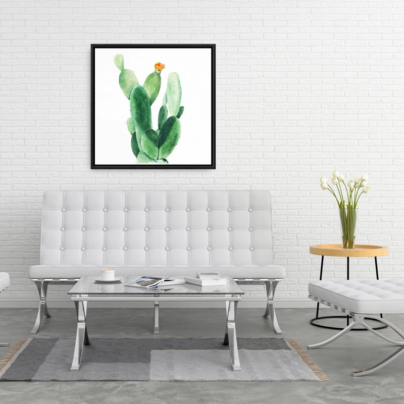 "Cactus aquarelle avec raquette"