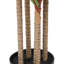 Faux arbre Dracaena en pot en plastique-1888381938