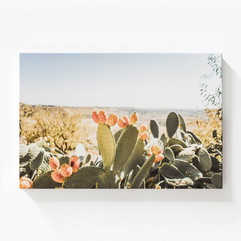 40 "x 60" Nature's Jewels, grande impression sur toile, H 36 po x l 54 po